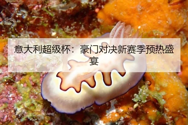 意大利超级杯：豪门对决新赛季预热盛宴